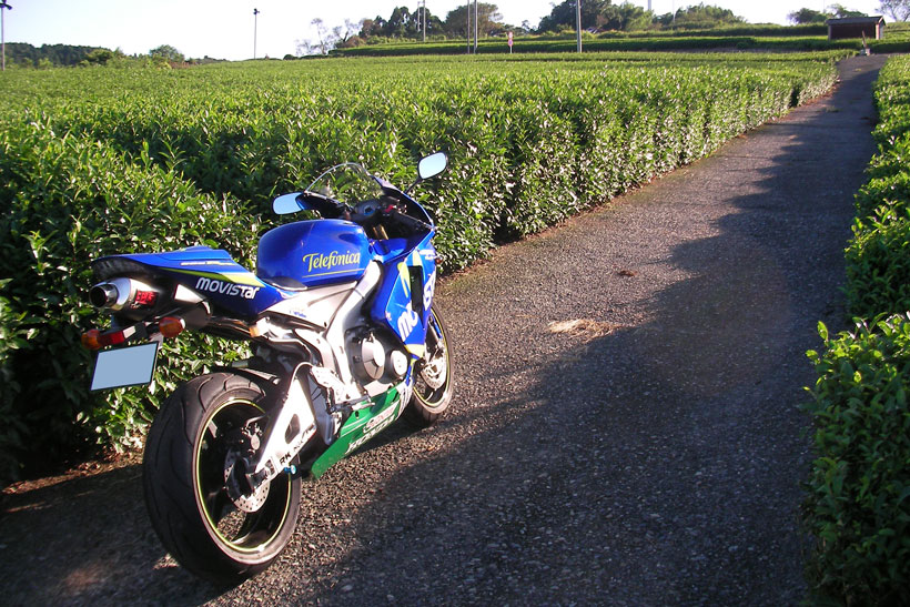 CBR600RR