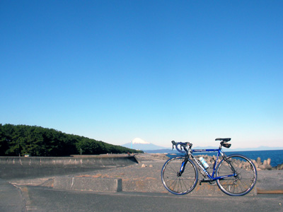 大井川河口